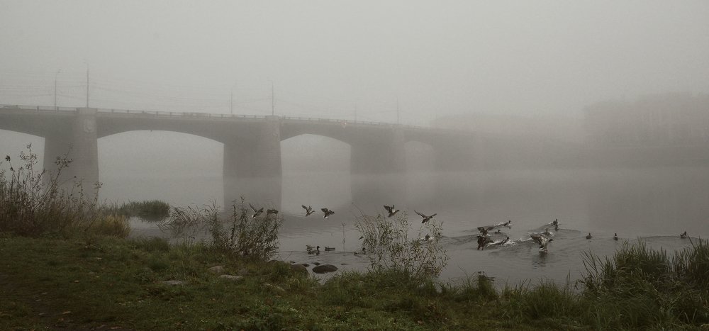Photograph by Вячеслав Сорокин