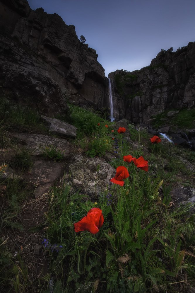 Photograph by rashtipour