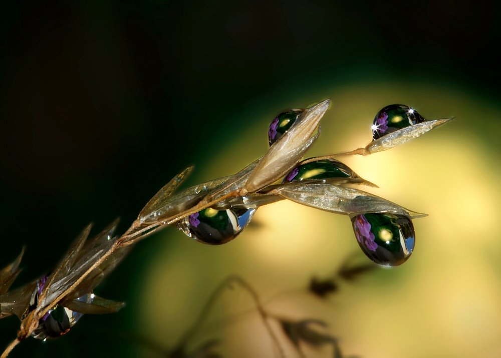 Под дождь так сладко дышится и спится