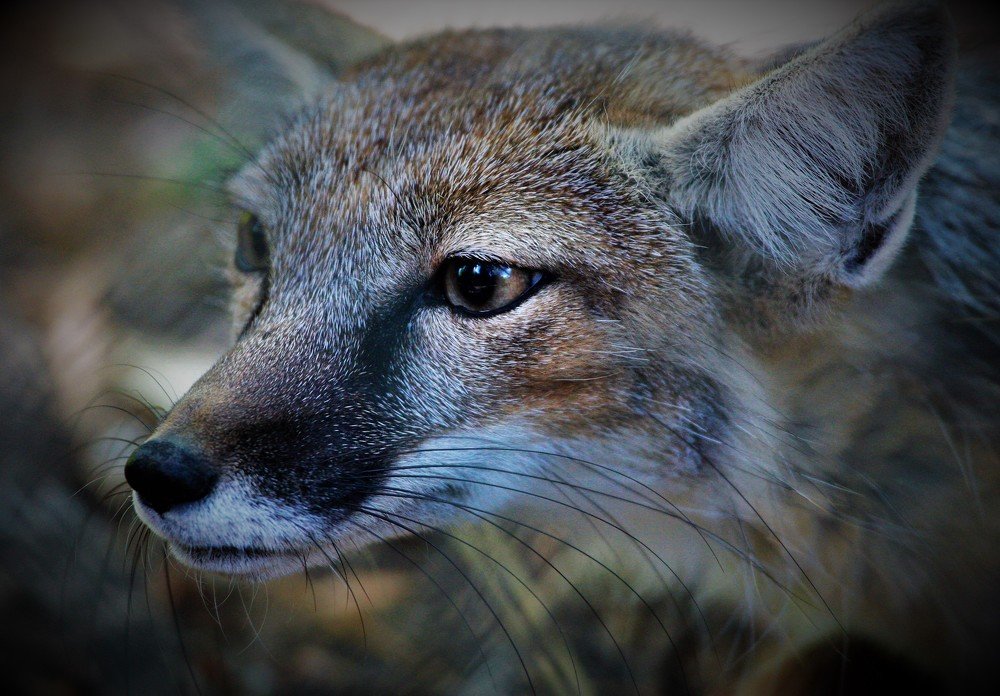 Photograph by Anja kroes