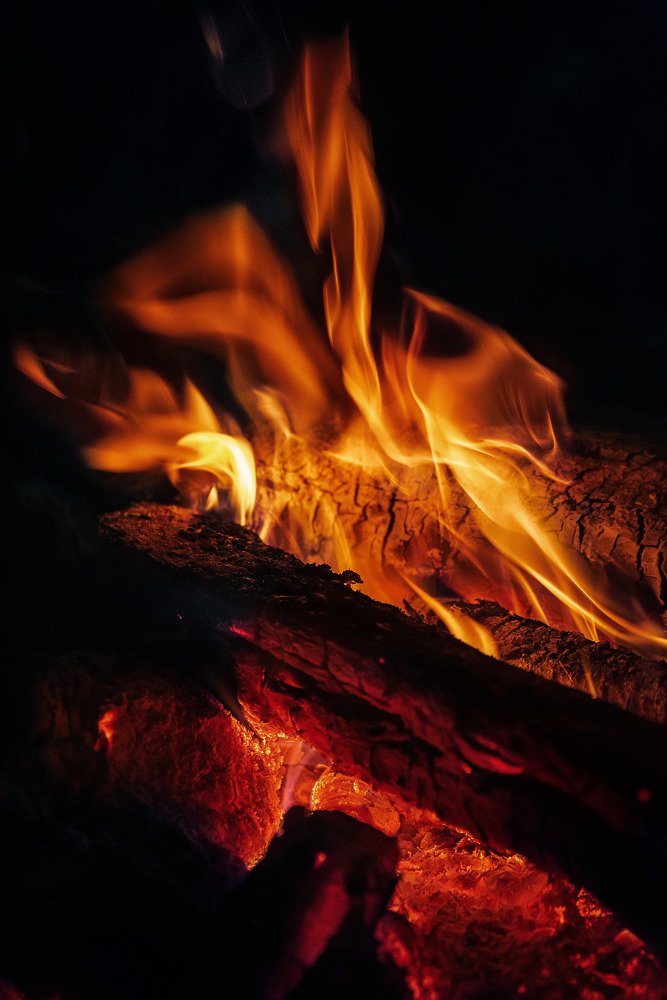 Photograph by rashtipour