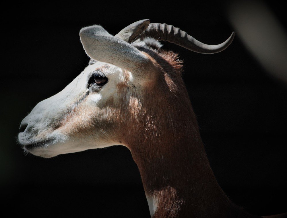 Photograph by Anja kroes