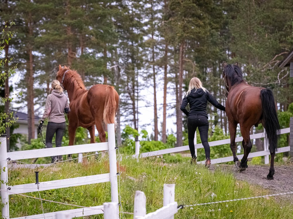 Photograph by Anna Sindikayeva