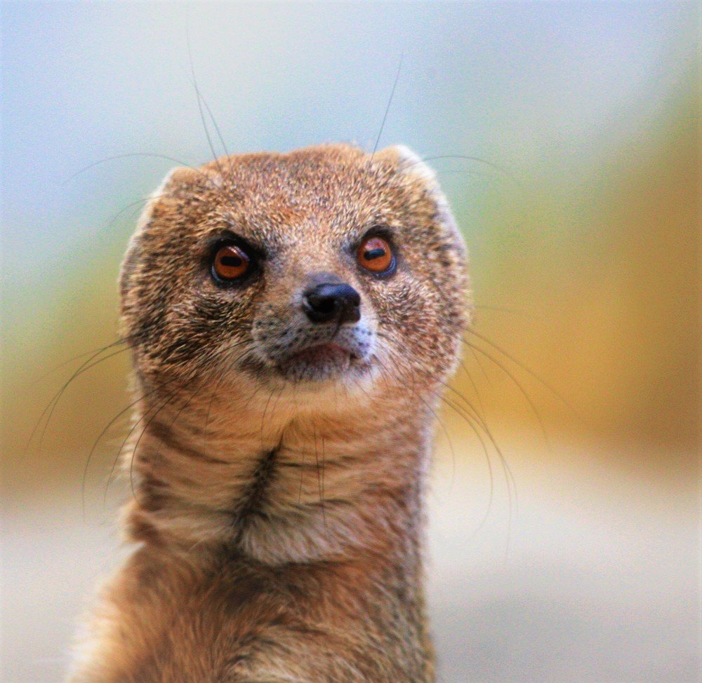 Photograph by Anja kroes