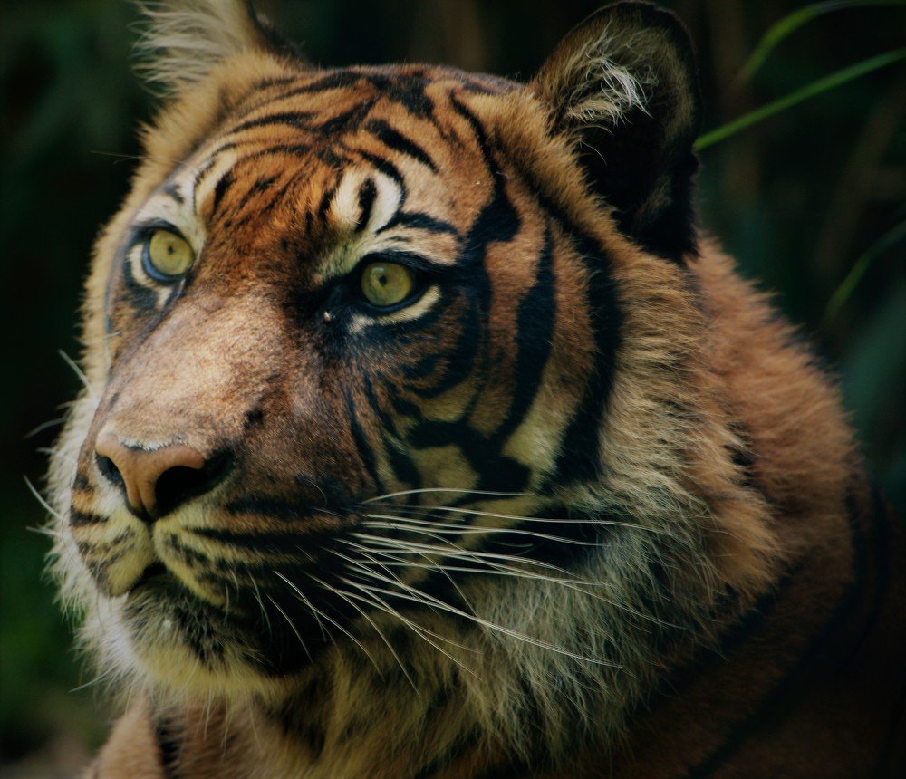 Photograph by Anja kroes