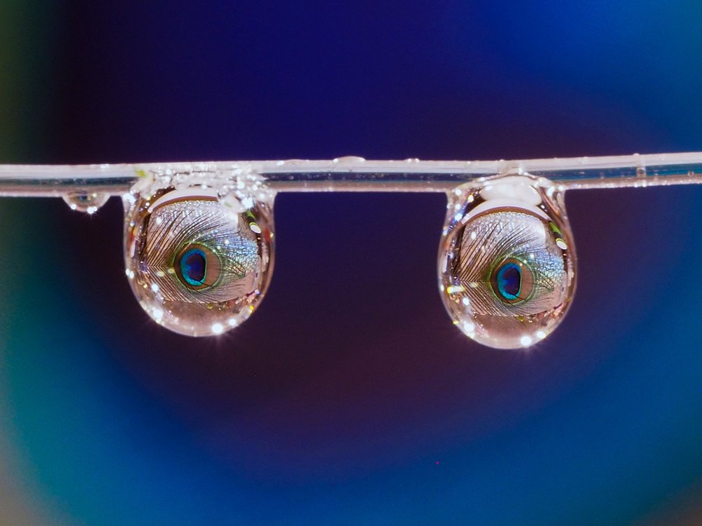 Photograph by Natalia Novikova