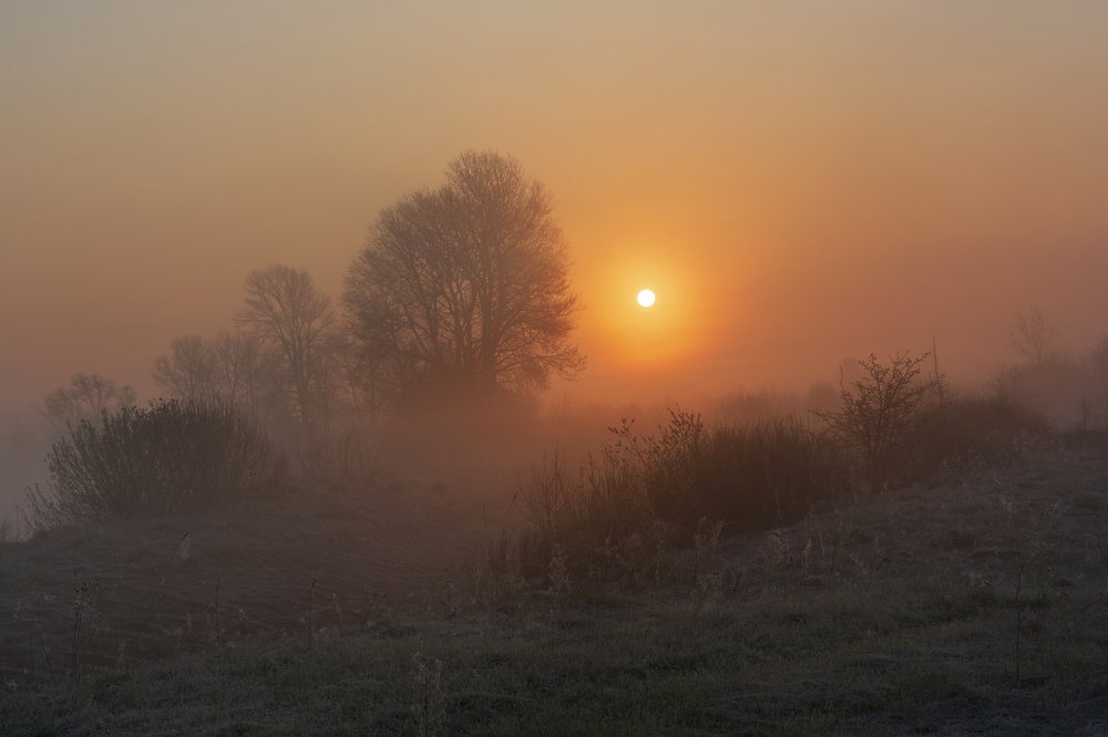 Photograph by Микола Мороз