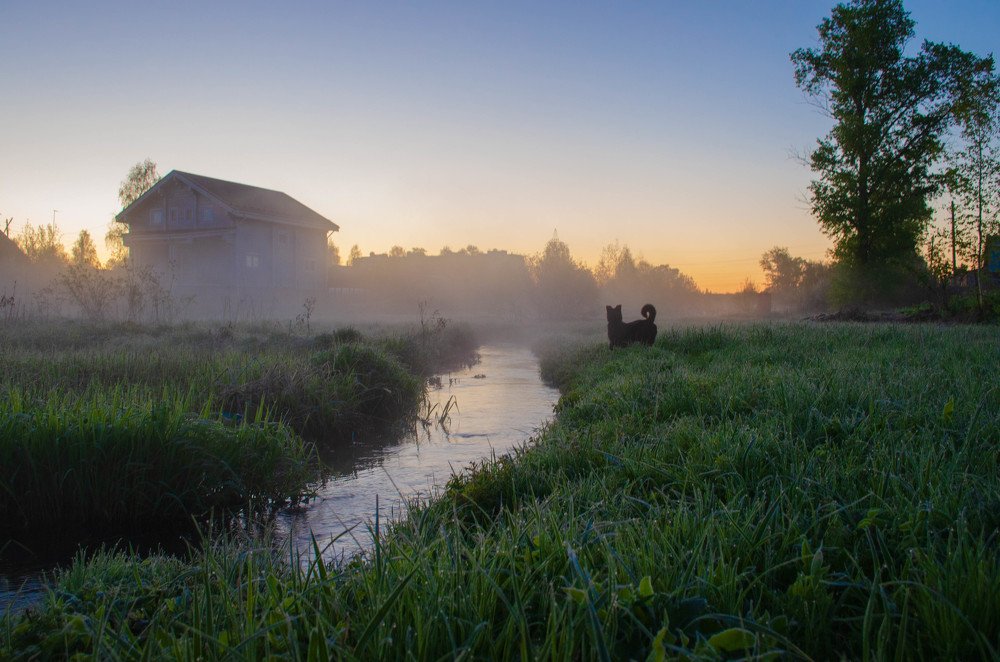 Утреннии туман