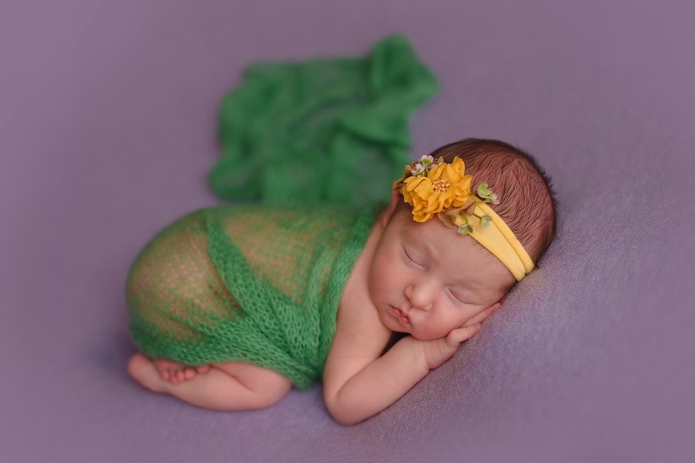 Фотография автора Яна Романова