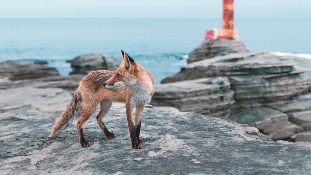 Photograph by Андрей Худзиев