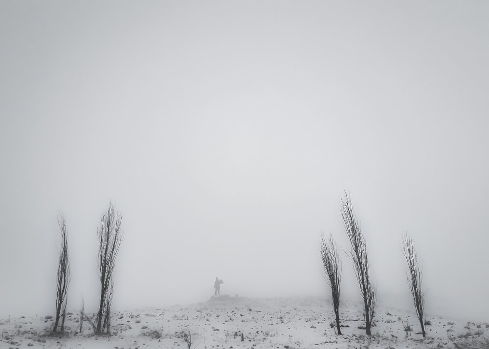 Фотография автора Alipour mohammad