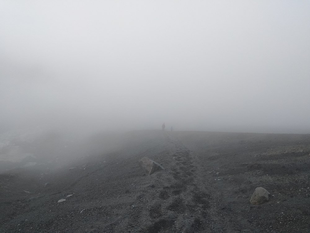 Photo #4719457