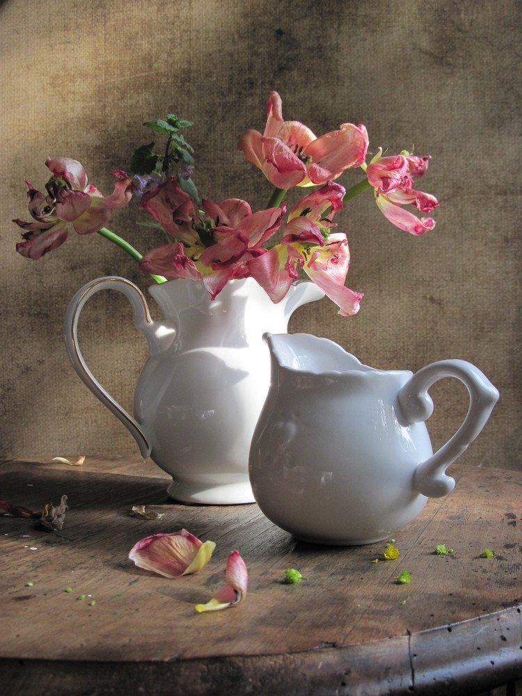 Помнят, что были тюльпанами