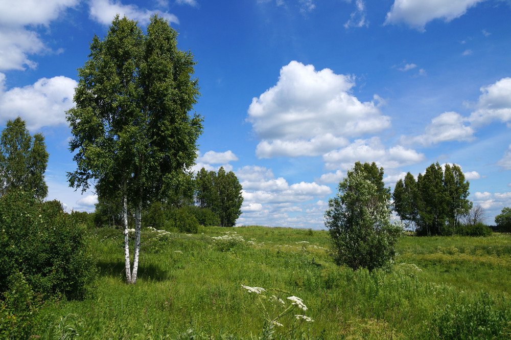 Вот и наступило лето