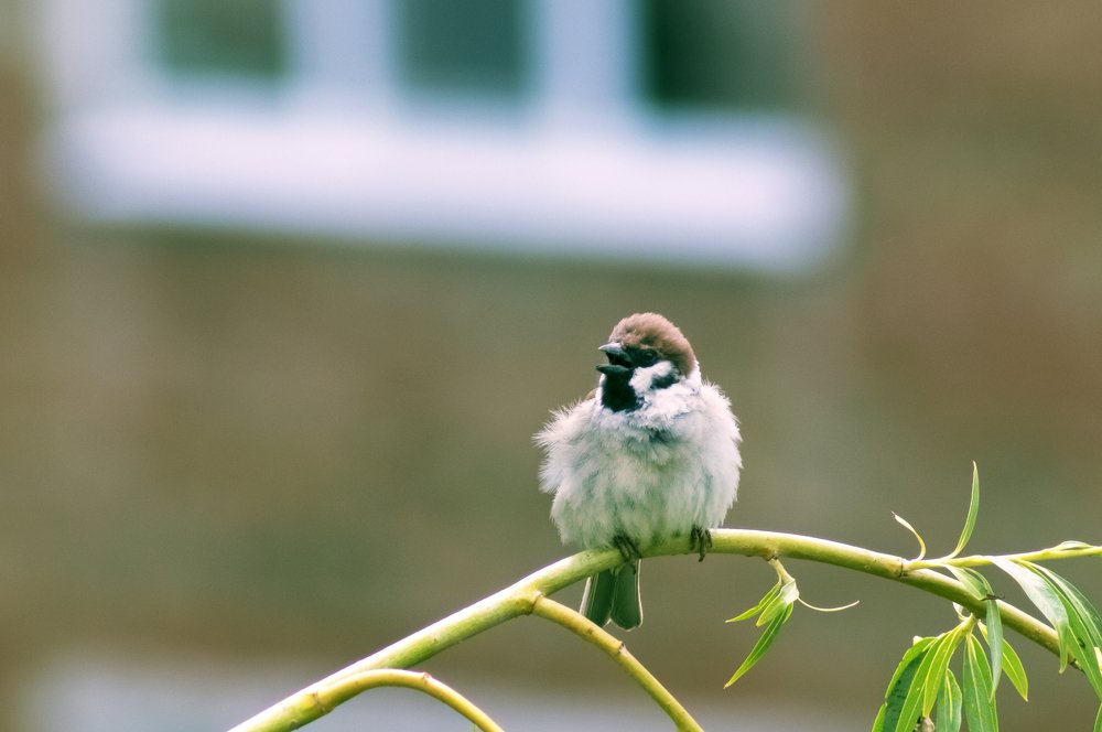 Фотография автора Артемий Николаевич