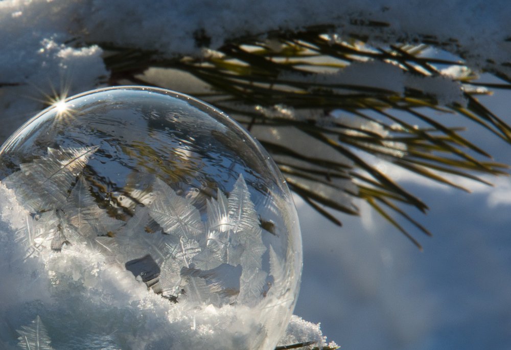 Photograph by Надежда Киселева