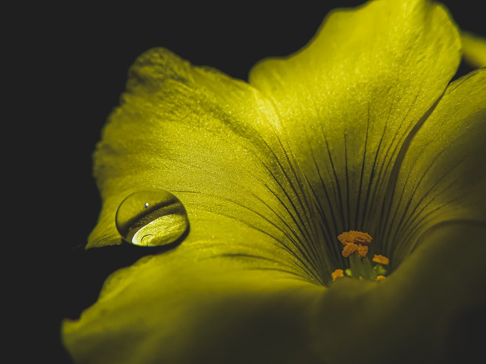 Photograph by Prakhar Sengar