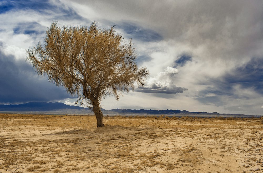 Фотография автора Morteza Sadeghi
