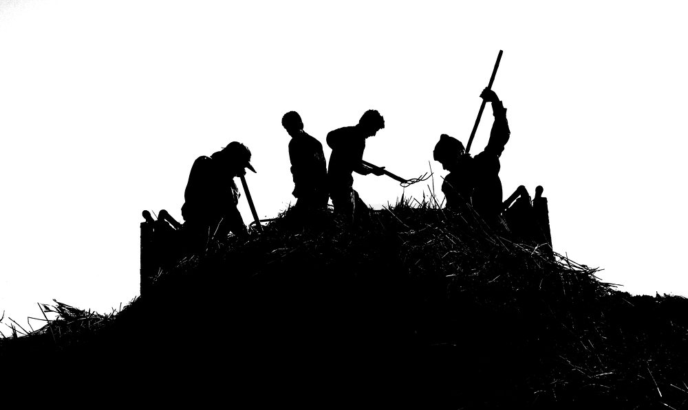 Фотография автора Morteza Sadeghi