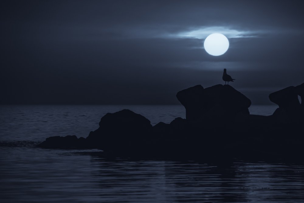 Photograph by Tatiana Ivan