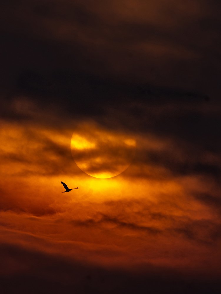 Photograph by ANKUSH CHOWDHURY