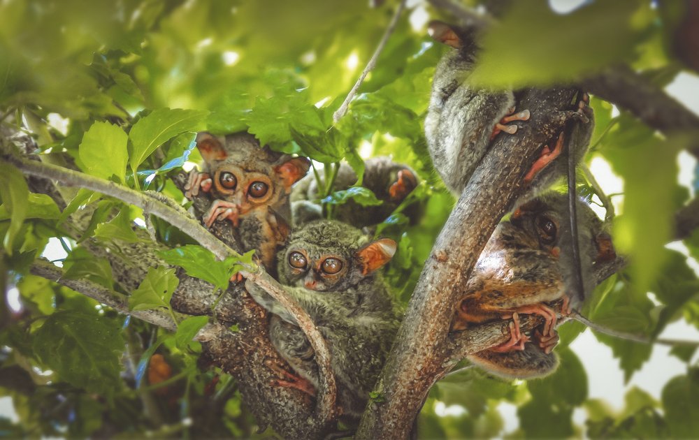 Фотография автора Anil Prabhakar