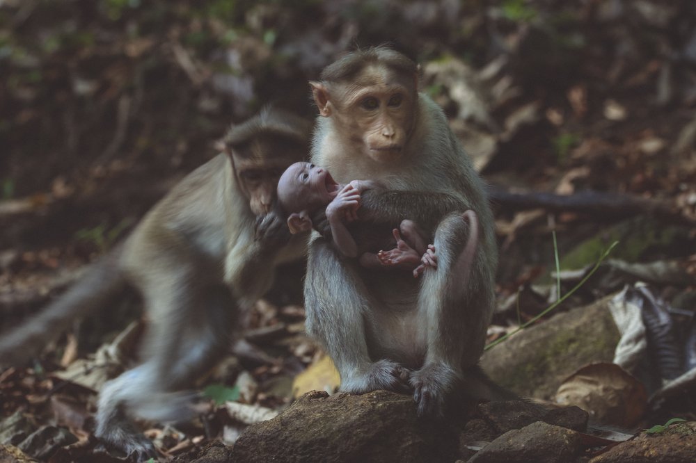Фотография автора Anil Prabhakar