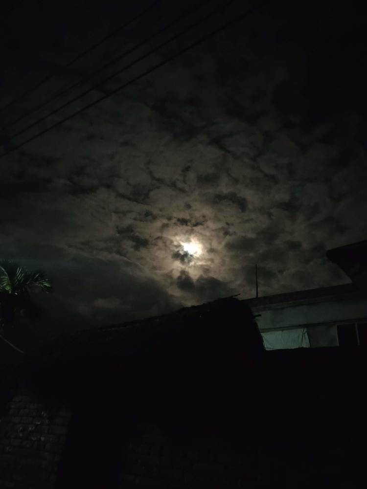 Photo #4720081