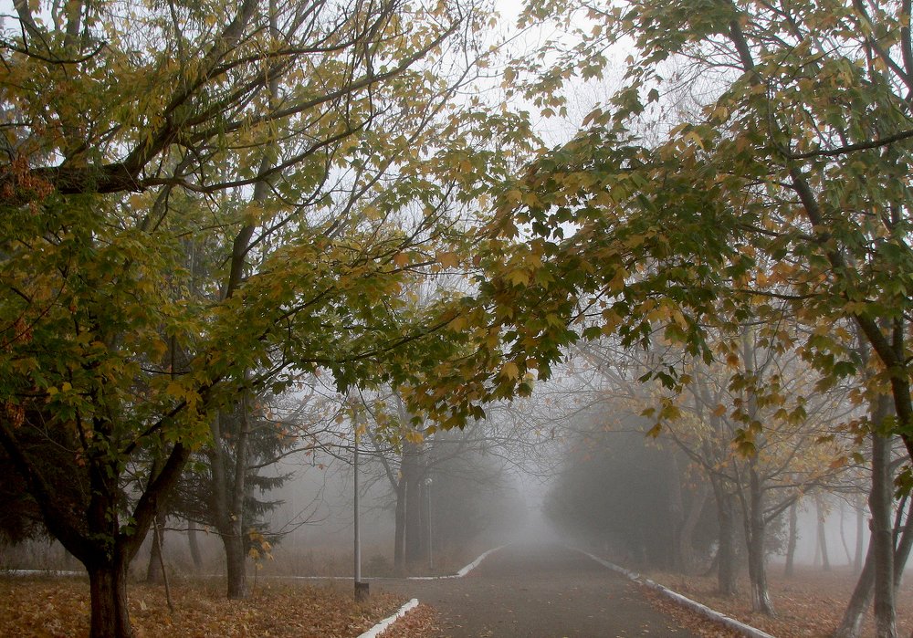 Утренний туман.