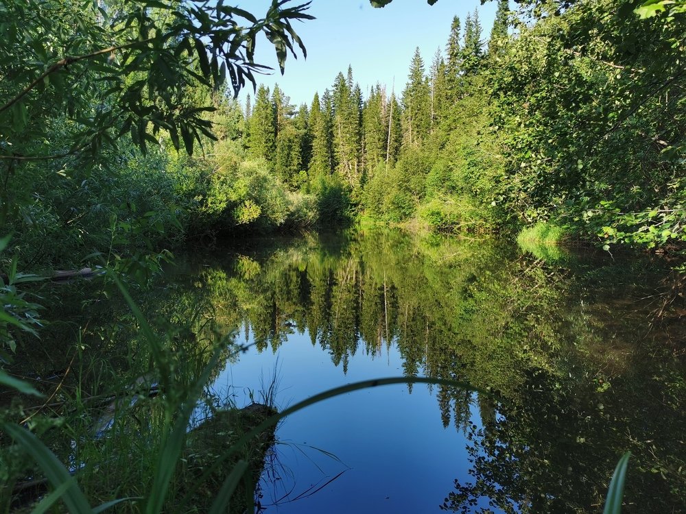 Фотография автора Андрей Логвинович