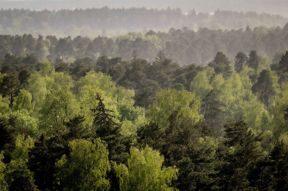 Photograph by Константин Горшенин