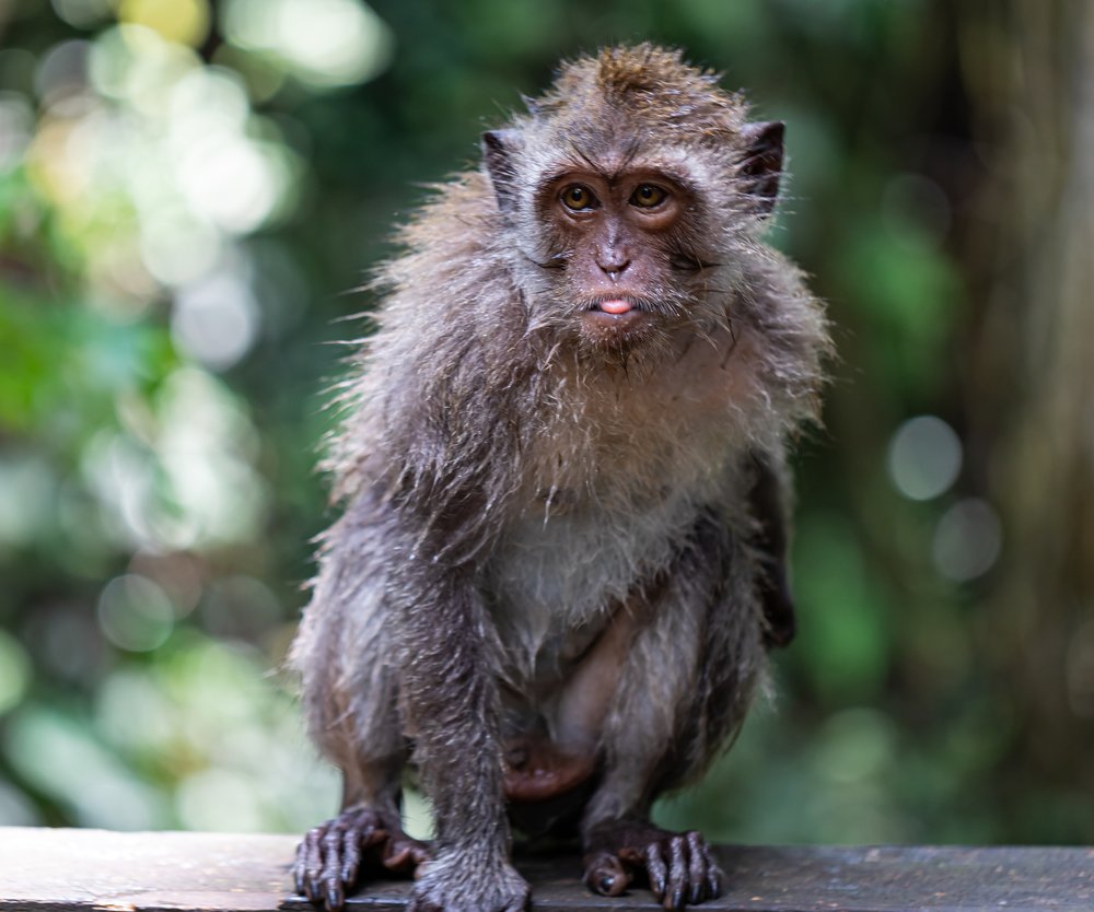 Photograph by Vito Dymek