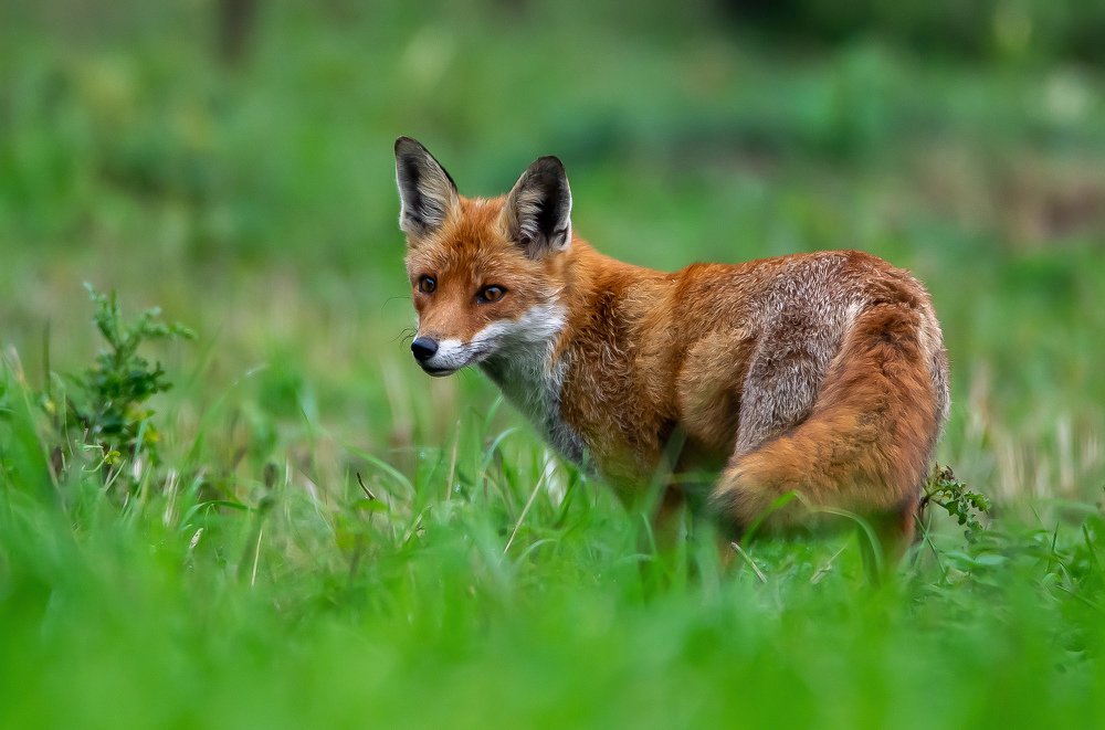 Photograph by Rafał Kowalik