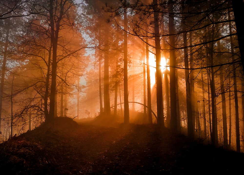 Photograph by Nermin Spahic