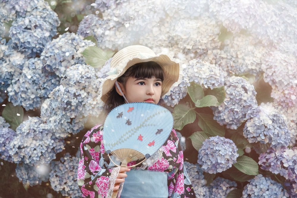 Девочка и гортензии