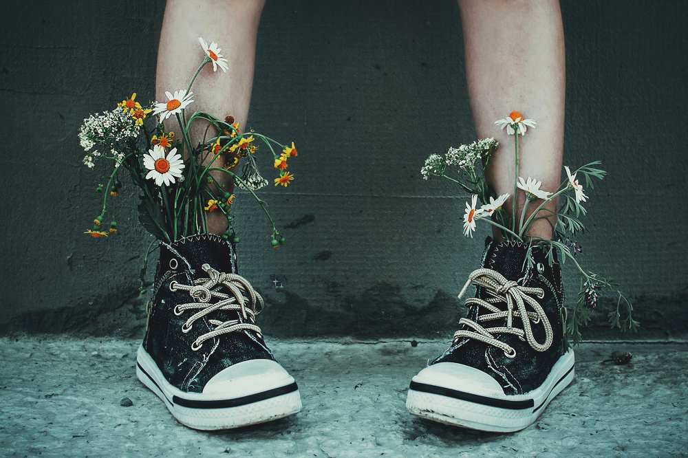 summer meadow chamomiles in boots