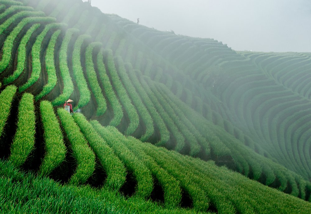 Panyaweuyan Argapura