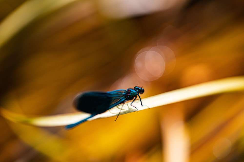 Photograph by Екатерина Аксёнова