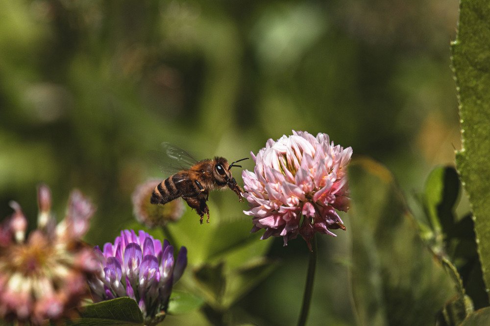 Photograph by Екатерина Аксёнова
