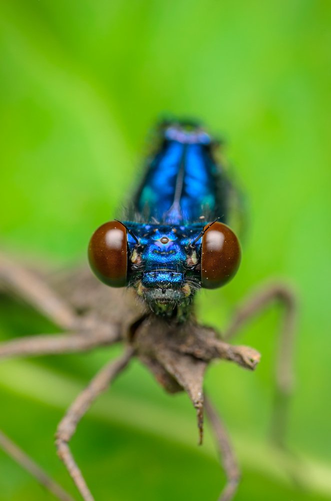 Фотография автора Сергей Чебанов