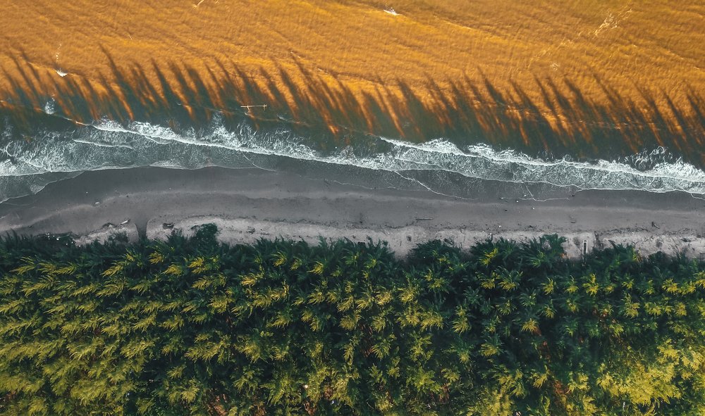 Фотография автора Anil Prabhakar