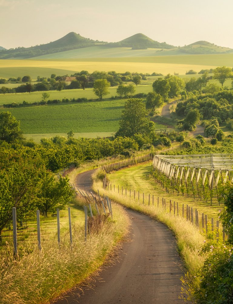 Photograph by Milan Chudoba