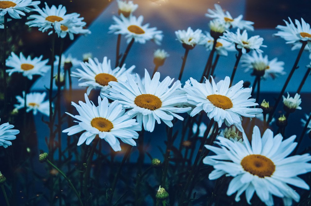 Photograph by Hussain Mushahid