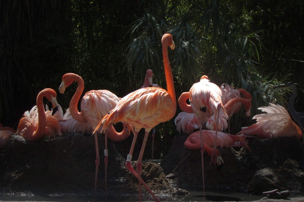 Photograph by Yelena Yakubov