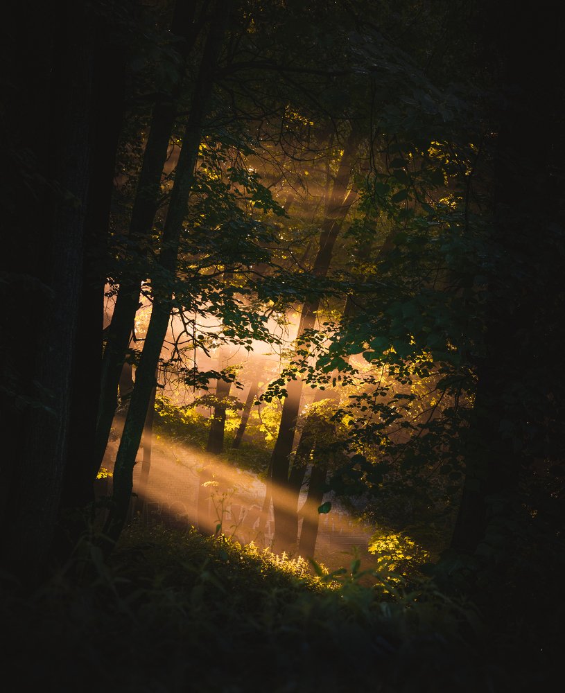 Фотография автора Кирилл Пчелинцев