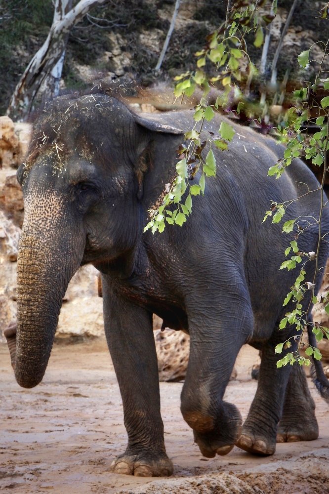 Photograph by Yelena Yakubov