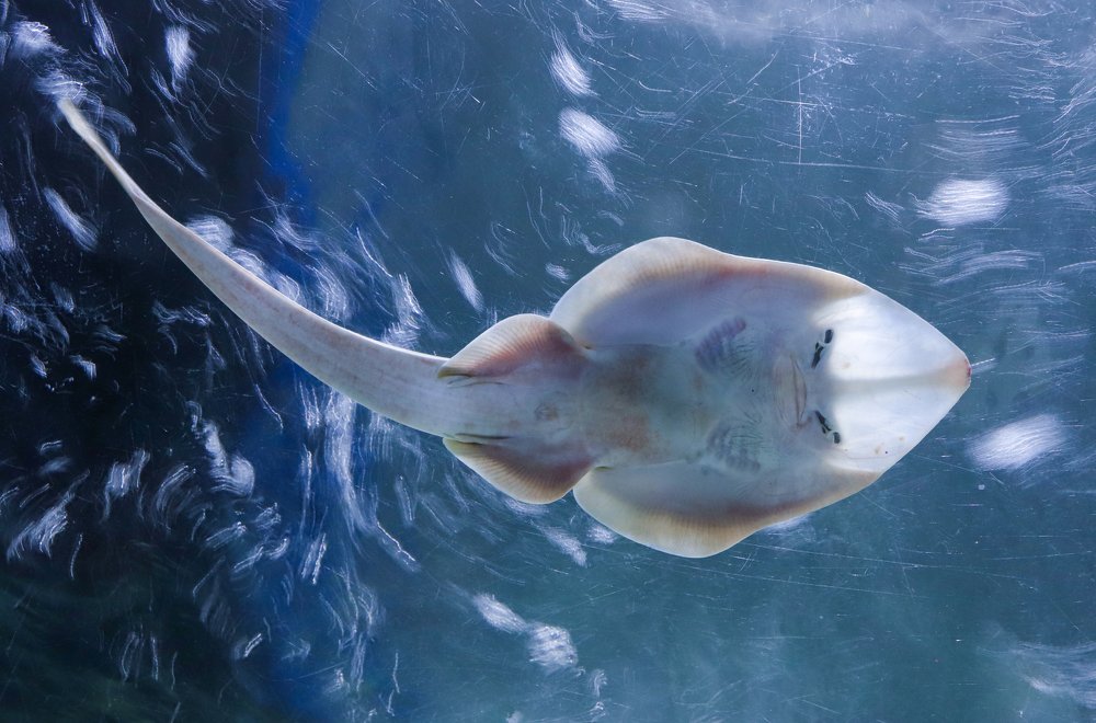 Photograph by Rumel Muhammed