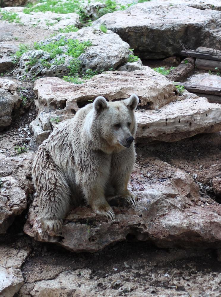 Photograph by Yelena Yakubov