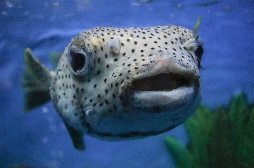 Photograph by Rumel Muhammed