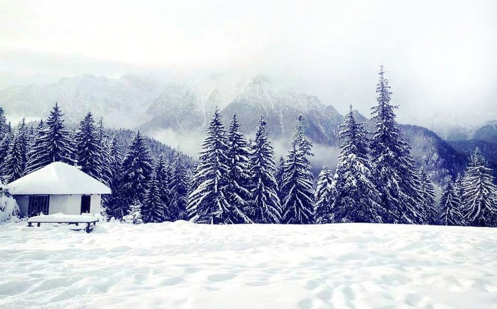 Photograph by Smarticia